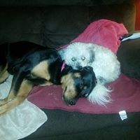 Find Daniel L Wirth Phone Number, Location, Email, and more on Intelius