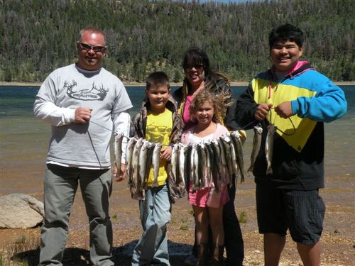 Find Danny David Nelson Phone Number, Location, Email, and more on Intelius