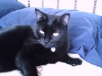 Find Dara Genevieve Carritt Phone Number, Location, Email, and more on Intelius
