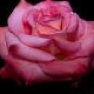 Find Darlene M Smith Phone Number, Location, Email, and more on Intelius
