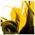 Find Darrell W Latham Phone Number, Location, Email, and more on Intelius