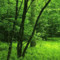 Find Darrell R Spurlock Phone Number, Location, Email, and more on Intelius