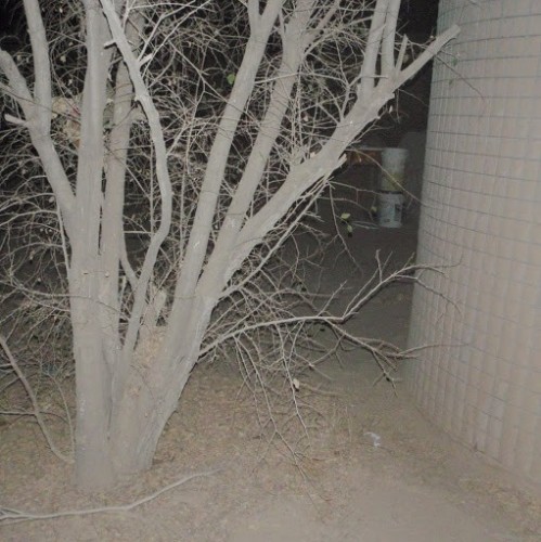 Find Daryl Wayne Ussery Phone Number, Location, Email, and more on Intelius