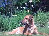 Find David Scott Barnes Phone Number, Location, Email, and more on Intelius