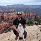 Find David Bochner Phone Number, Location, Email, and more on Intelius