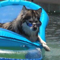 Find David Lamont Carter Phone Number, Location, Email, and more on Intelius
