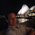 Find David S Dabscheck Phone Number, Location, Email, and more on Intelius
