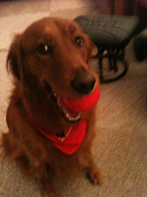 Find David Dziepak Phone Number, Location, Email, and more on Intelius