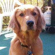 Find David W Erdner Phone Number, Location, Email, and more on Intelius