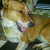 Find David M Glaser Phone Number, Location, Email, and more on Intelius