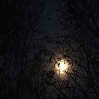 Find David M Gleason Phone Number, Location, Email, and more on Intelius