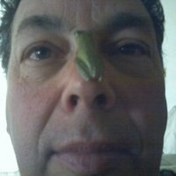Find David W Greenfield Phone Number, Location, Email, and more on Intelius