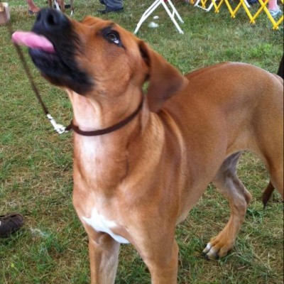 Find David Nathan King Phone Number, Location, Email, and more on Intelius