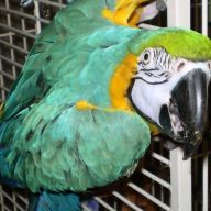 Find David William Klein Phone Number, Location, Email, and more on Intelius