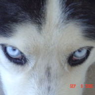 Find David Sean Laub Phone Number, Location, Email, and more on Intelius