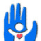 Find David Joseph Litwack Phone Number, Location, Email, and more on Intelius