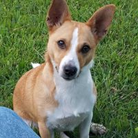 Find David O Lusk Phone Number, Location, Email, and more on Intelius