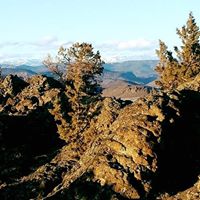 Find David T Mclemore Phone Number, Location, Email, and more on Intelius
