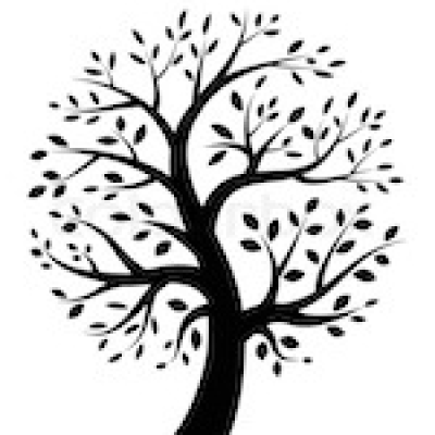 Find David Alan Owen Phone Number, Location, Email, and more on Intelius