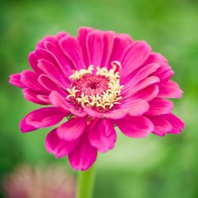 Find David Allan Salisbury Phone Number, Location, Email, and more on Intelius
