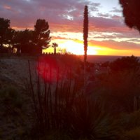 Find David Christian Satcher Phone Number, Location, Email, and more on Intelius