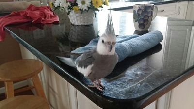 Find David E Silver Phone Number, Location, Email, and more on Intelius