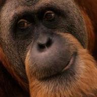 Find David W Tanner Phone Number, Location, Email, and more on Intelius