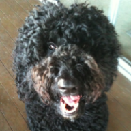 Find David S Timoner Phone Number, Location, Email, and more on Intelius