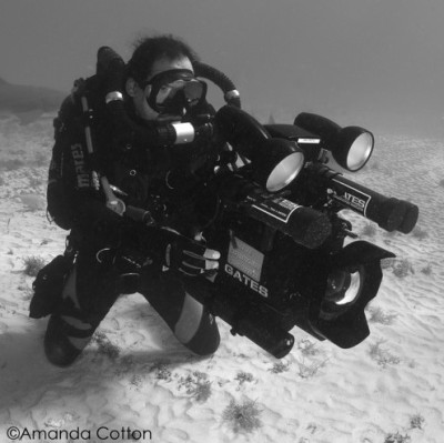 Find David J Ulloa Phone Number, Location, Email, and more on Intelius