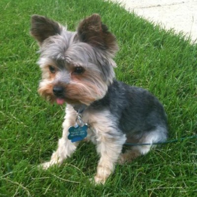 Find David Elliot Waldo Phone Number, Location, Email, and more on Intelius