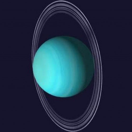 Find David E Williams Phone Number, Location, Email, and more on Intelius