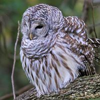 Find David Travis Williams Phone Number, Location, Email, and more on Intelius