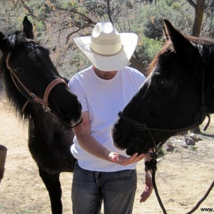 Find David Knox Withers Phone Number, Location, Email, and more on Intelius