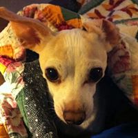 Find Dawn Lynn Feist Phone Number, Location, Email, and more on Intelius