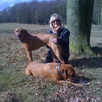 Find Dawn Michelle Ingram Phone Number, Location, Email, and more on Intelius