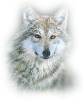 Find Dawn Lynn Mcgee Phone Number, Location, Email, and more on Intelius