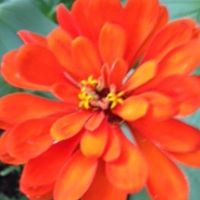 Find Dawn J Omalley Phone Number, Location, Email, and more on Intelius
