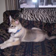 Find Dawn Kristina Rose Phone Number, Location, Email, and more on Intelius