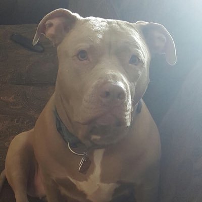 Find Dawn Elizabeth Schultz Phone Number, Location, Email, and more on Intelius
