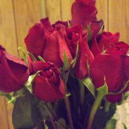 Find Dawn Virlene Ward Phone Number, Location, Email, and more on Intelius