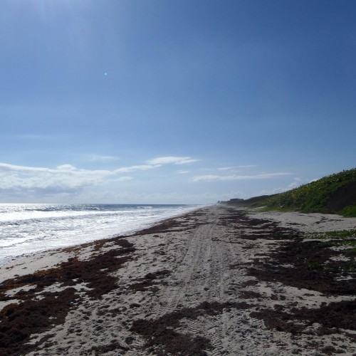 Find Deana Conti Gordy Phone Number, Location, Email, and more on Intelius