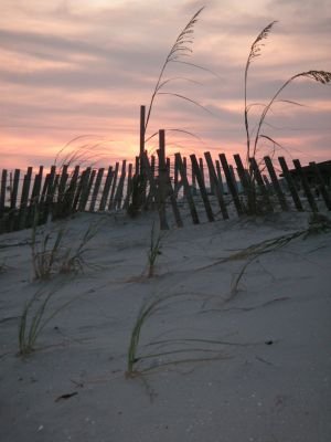 Find Debbie Lynn Shook Phone Number, Location, Email, and more on Intelius