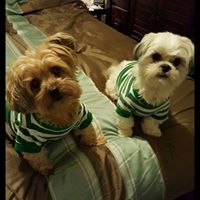 Find Deborah J Letcher Phone Number, Location, Email, and more on Intelius