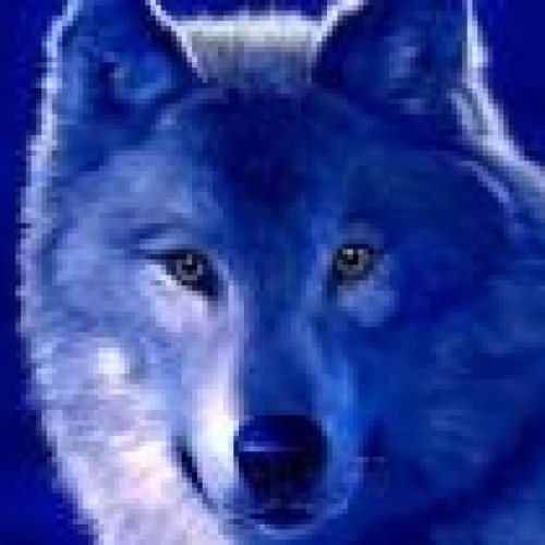 Find Deborah Kay Mitchell Phone Number, Location, Email, and more on Intelius