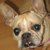 Find Deborah S Talley Phone Number, Location, Email, and more on Intelius