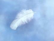 Find Deborah Ann Williams Phone Number, Location, Email, and more on Intelius