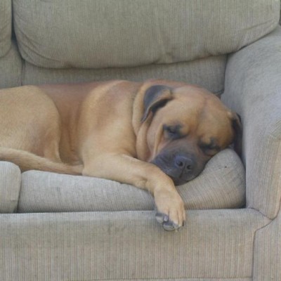 Find Deborah Jane Williams Phone Number, Location, Email, and more on Intelius