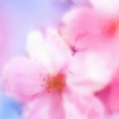 Find Deborah A Zimmerman Phone Number, Location, Email, and more on Intelius
