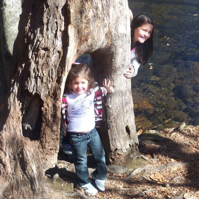 Find Debra B Hernandez Phone Number, Location, Email, and more on Intelius