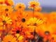 Find Debra Ann Keyes Phone Number, Location, Email, and more on Intelius